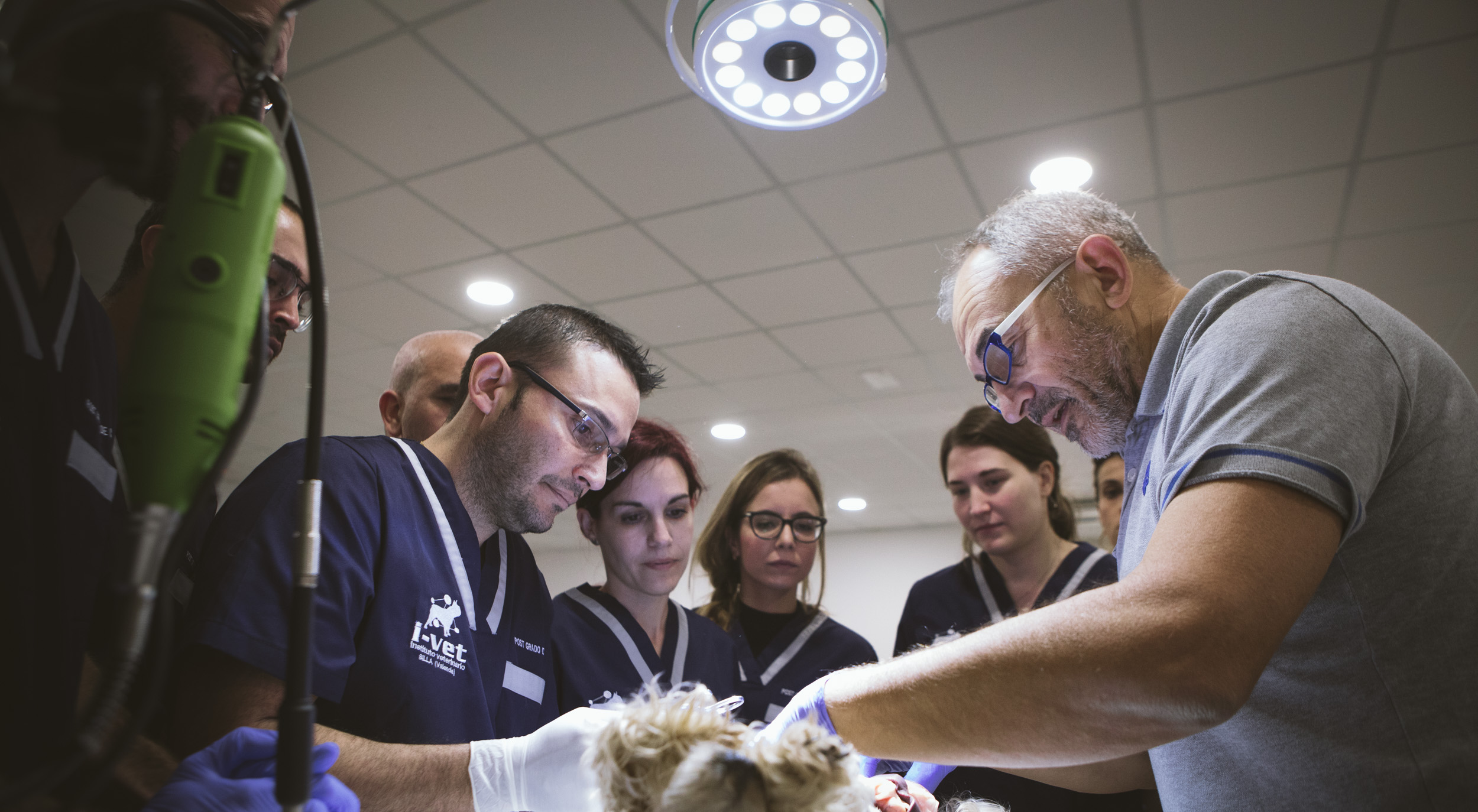 Stefano Nicoli cuenta con un gran reconocimiento internacional como especialista en cirugía veterinaria de tejidos blandos