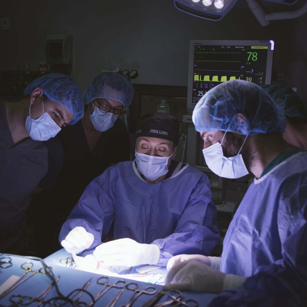 El Hospital Veterinario Valencia Sur es pionero en las técnicas de cirugía sin sangrado
