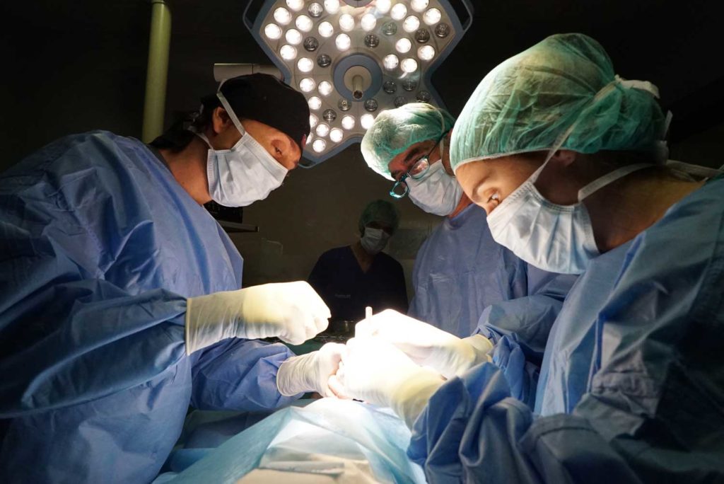El hospital veterinario Valencia Sur aplica una novedosa técnica para operar a corazón abierto a un perro