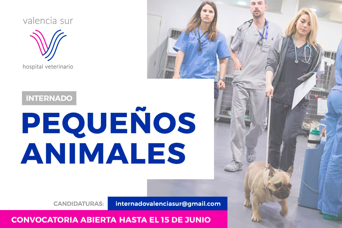Imagen: Convocatoria Internado de postgrado en Clínica de Pequeños Animales en el Hospital Veterinario Valencia Sur.