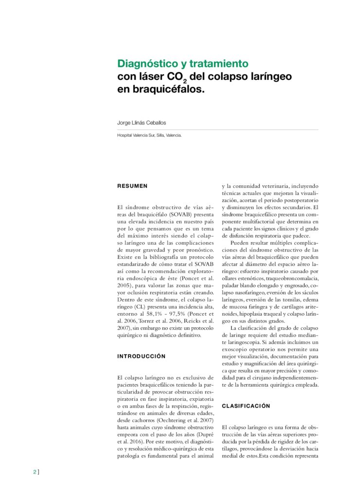 articulo revista Colapso laringeo y CO2 001
