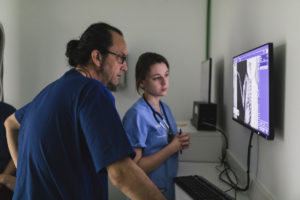 web traumatologia ortopedia veterinaria valencia sur