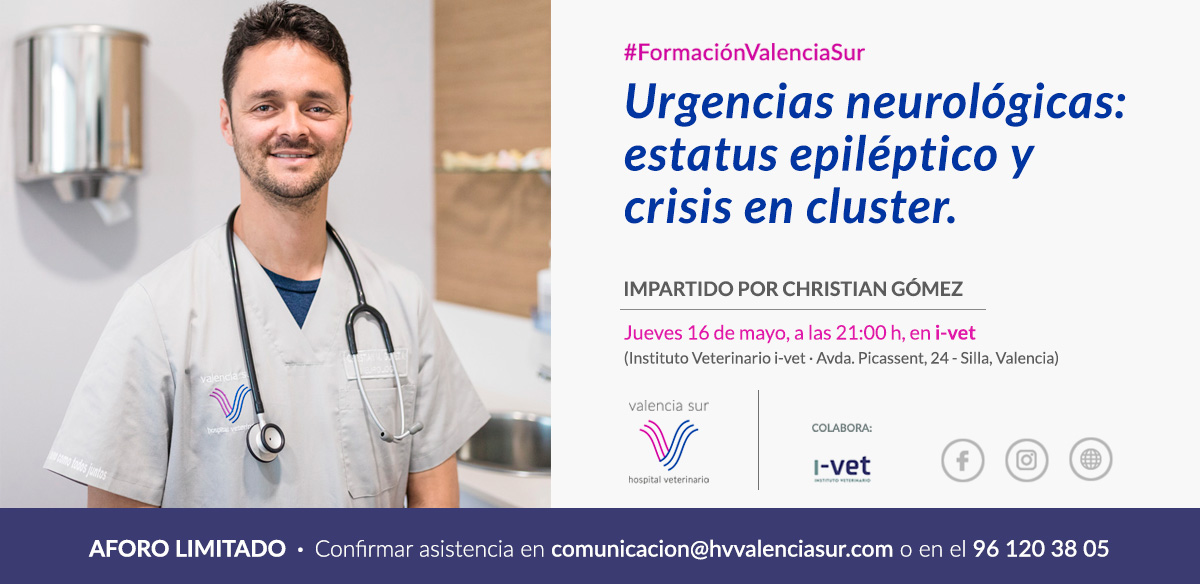 Formacion Valencia Sur - Christian Gomez impartira una charla sobre urgencias neurologicas