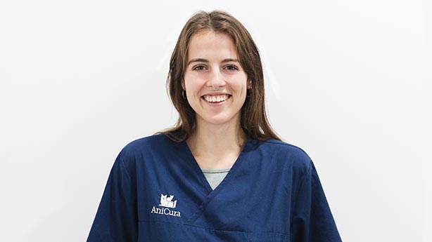 Eva Prosper medicina interna AniCura Valencia Sur